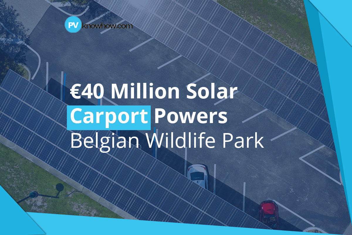 €40 Million Solar Carport Powers Belgian Wildlife Park