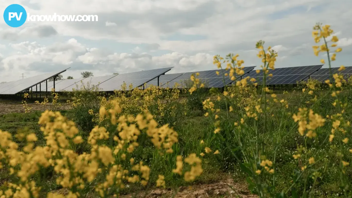 The Cobbora Solar Farm