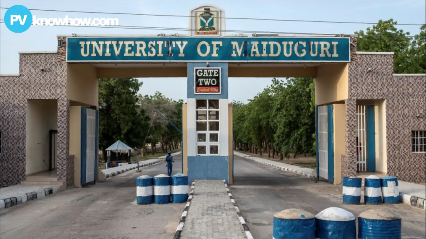 University of Maiduguri