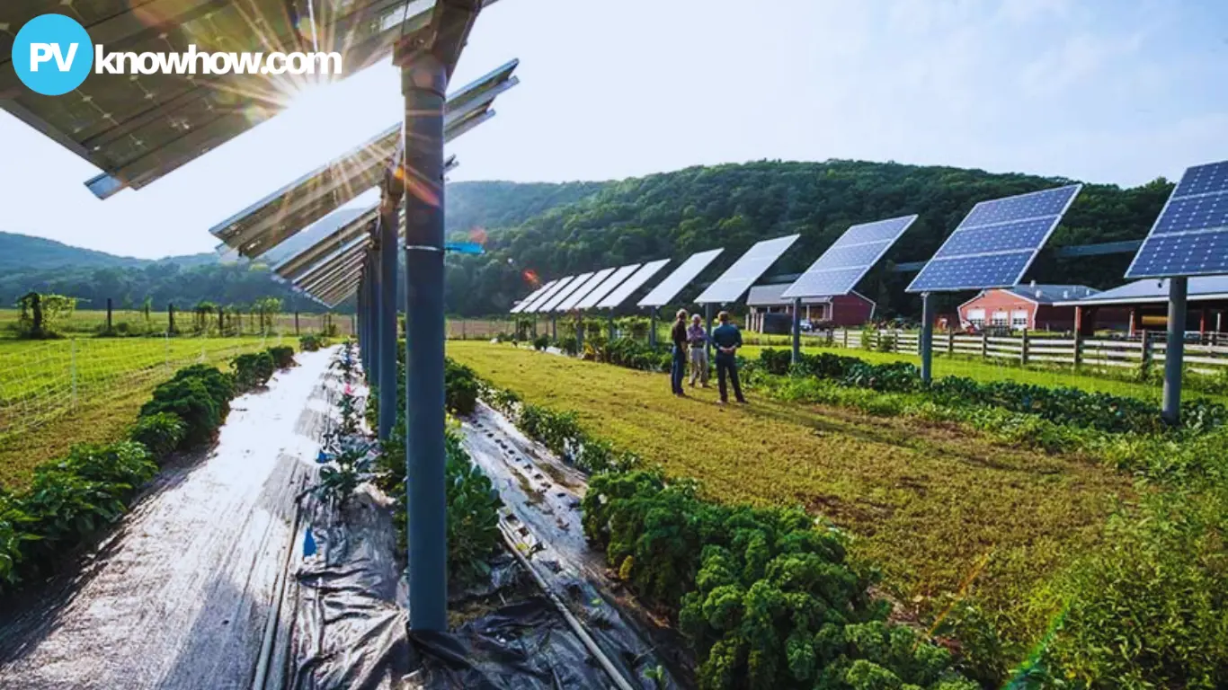 Solar farm landscape